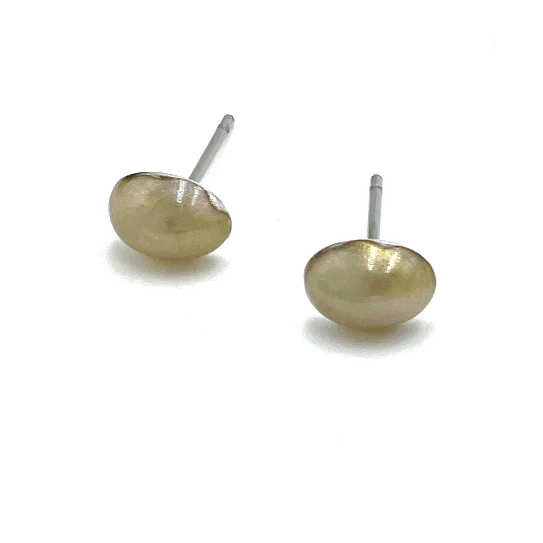 golden shell studs