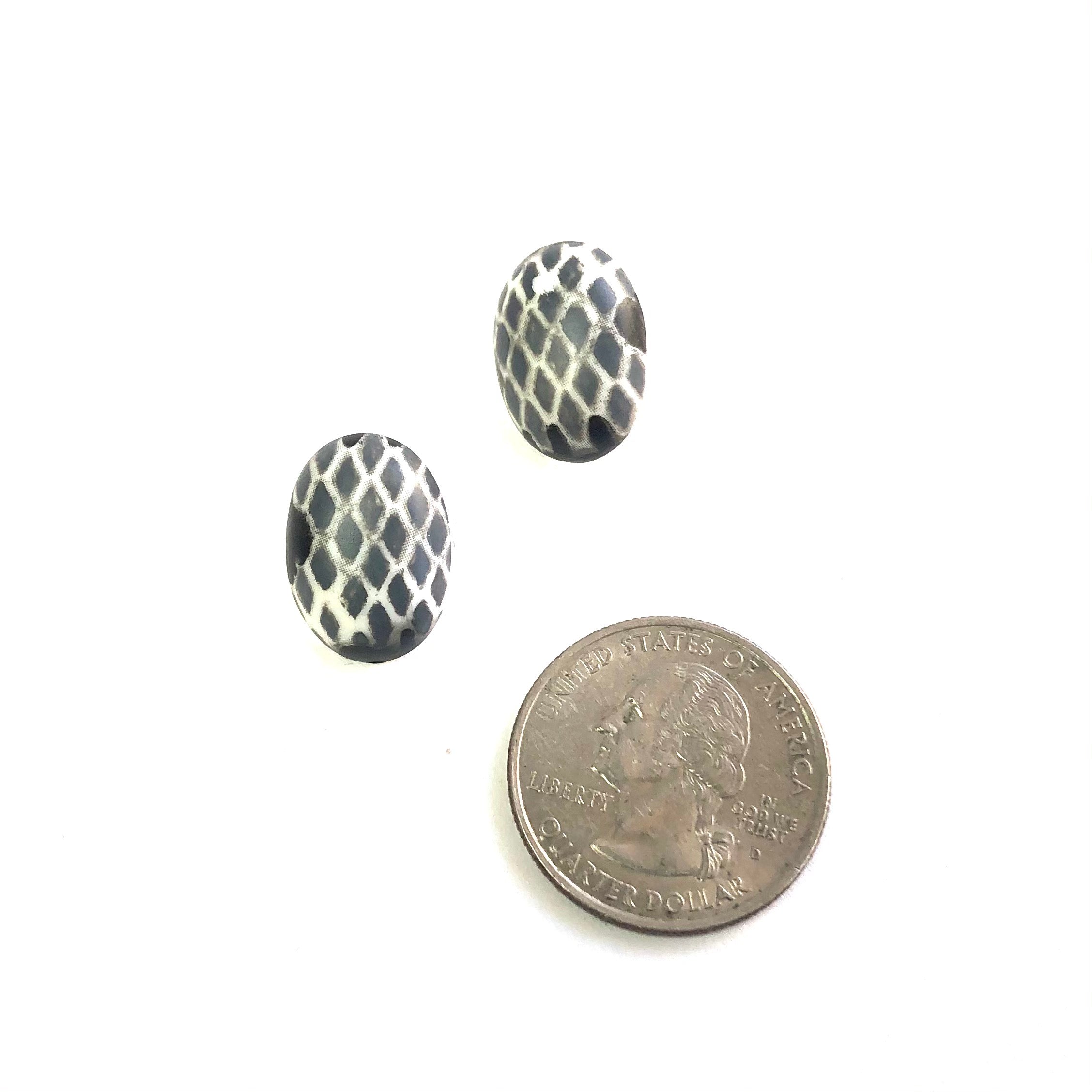 White King Snake Oval Button Studs