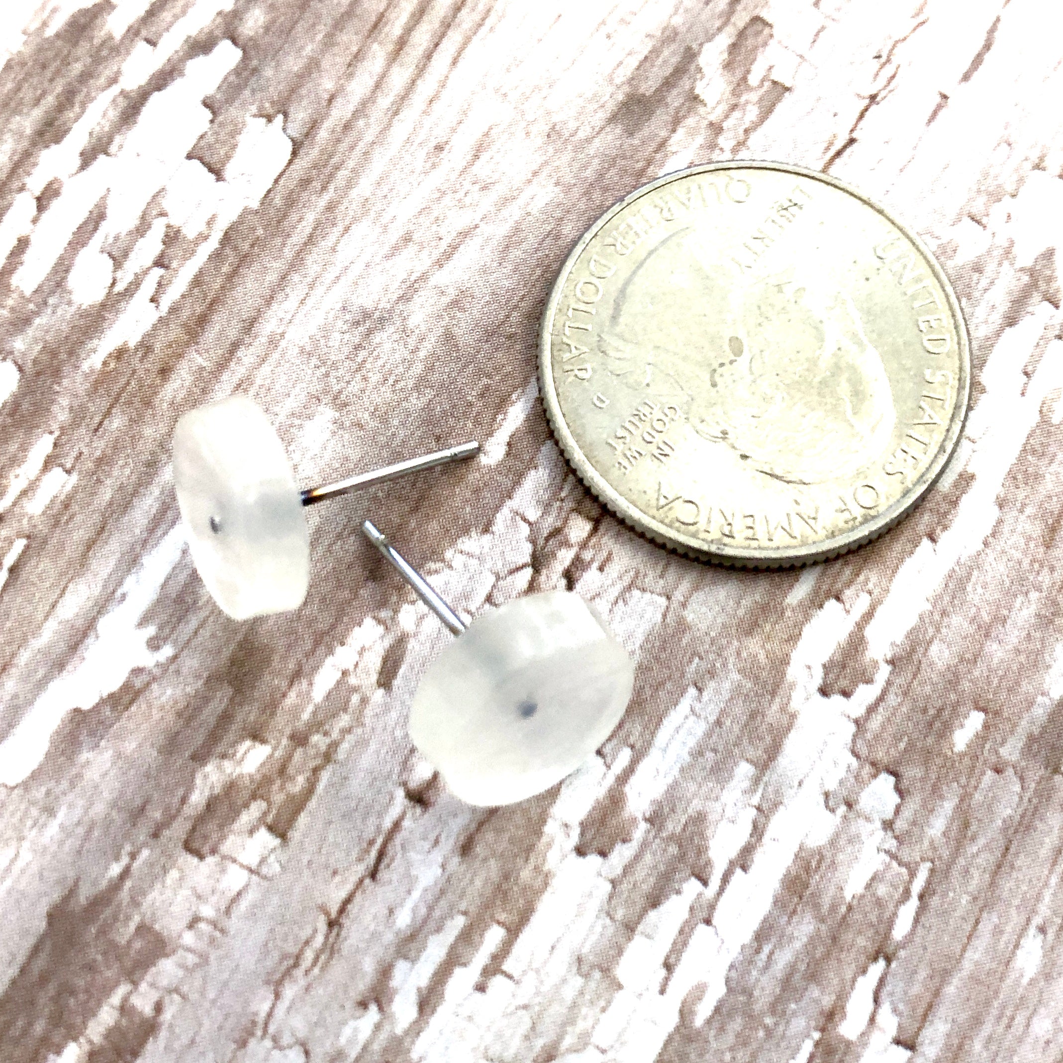 frosted leetie earrings