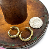 A pair of gold hoop earrings with a textured, snake-like scale pattern, displayed on a rustic wooden surface next to a US quarter coin for scale.
